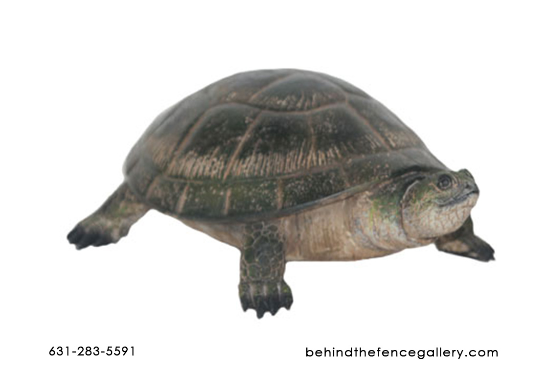 Blanding's Turtle Statue