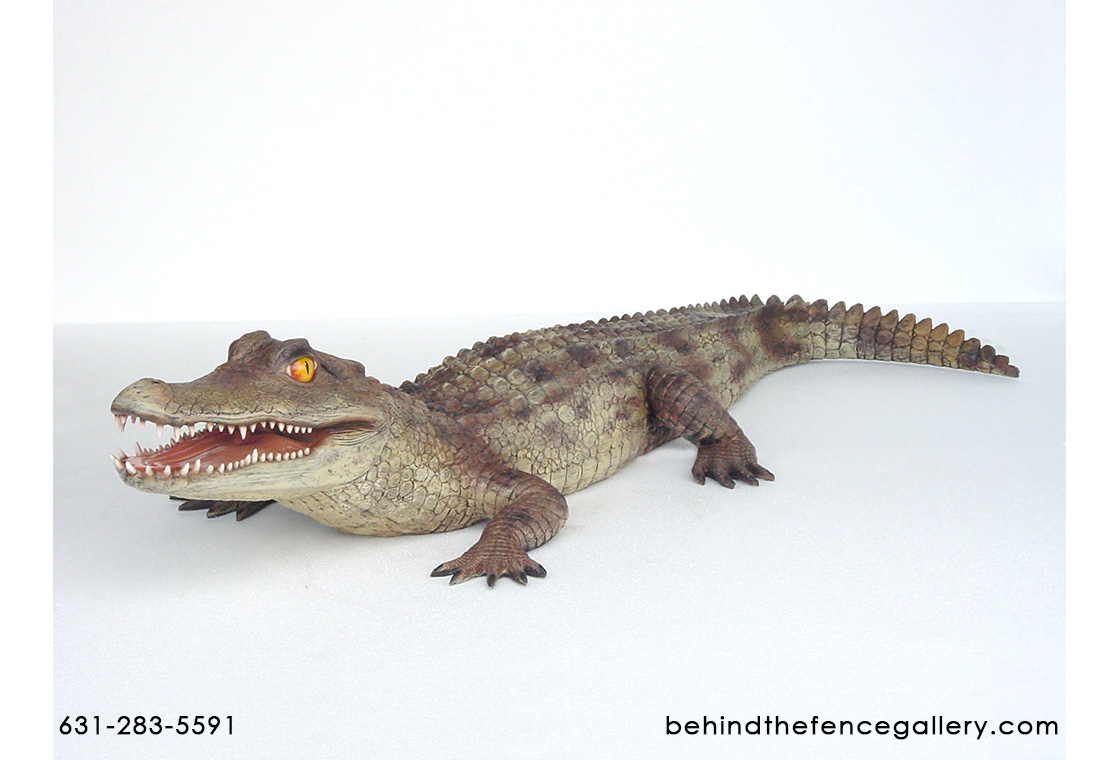 Caiman Alligator Statue - 6.5 Ft Long