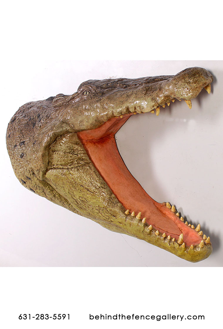 Crocodile Head Wall Mount - Click Image to Close
