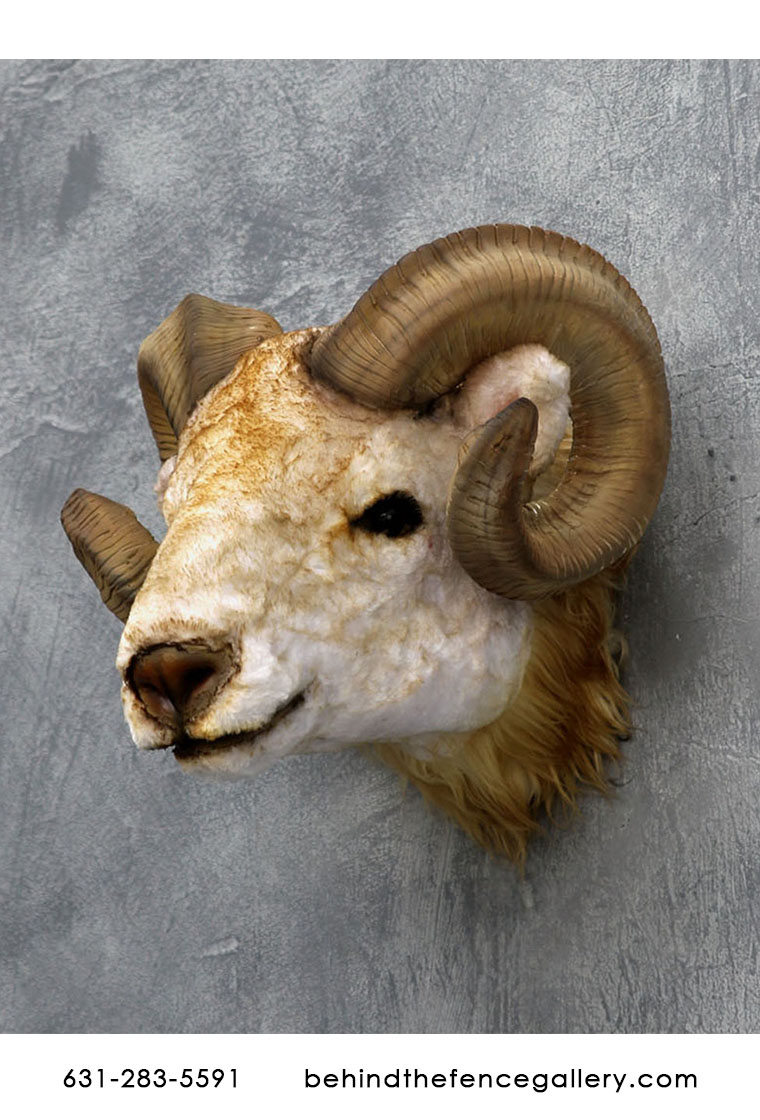 Ram Head Wall Mount