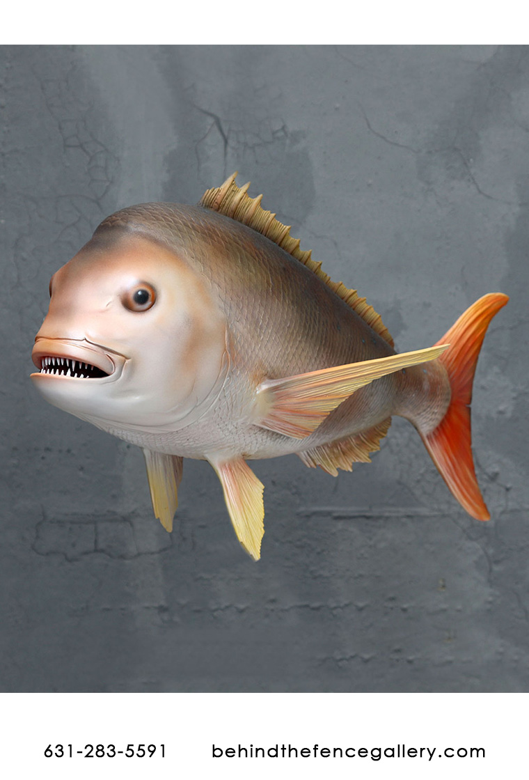 Snapper Fish Wall Hanging