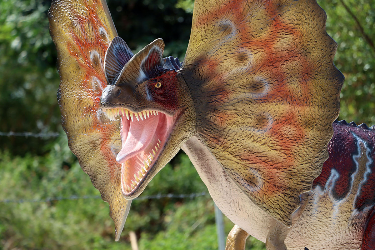 Life Size Dilophosaurus Statue