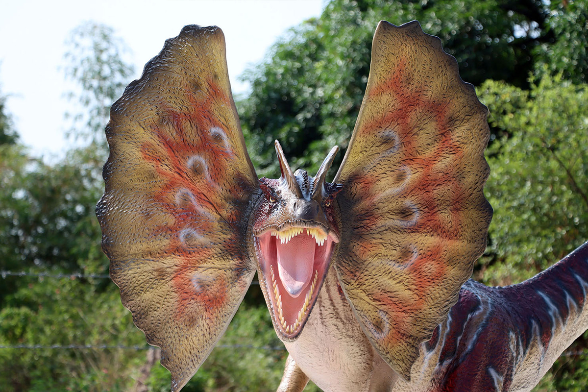 (image for) Life Size Dilophosaurus Statue