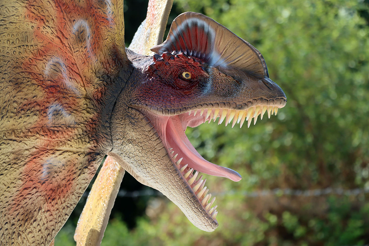 (image for) Life Size Dilophosaurus Statue