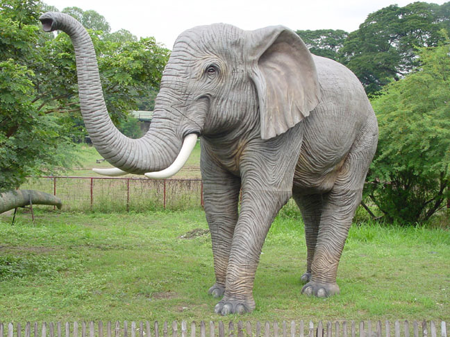 Elephant ( Big ) Trunk-up