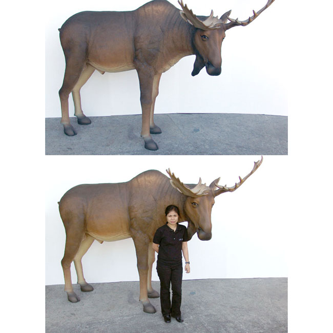 Fiberglass Moose Life-size