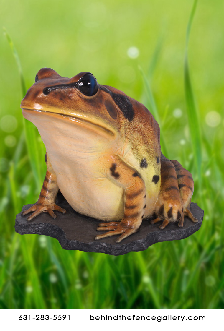 Great Barred Frog Statue