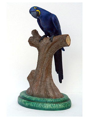 Hyacinth Macaw 3 ft.