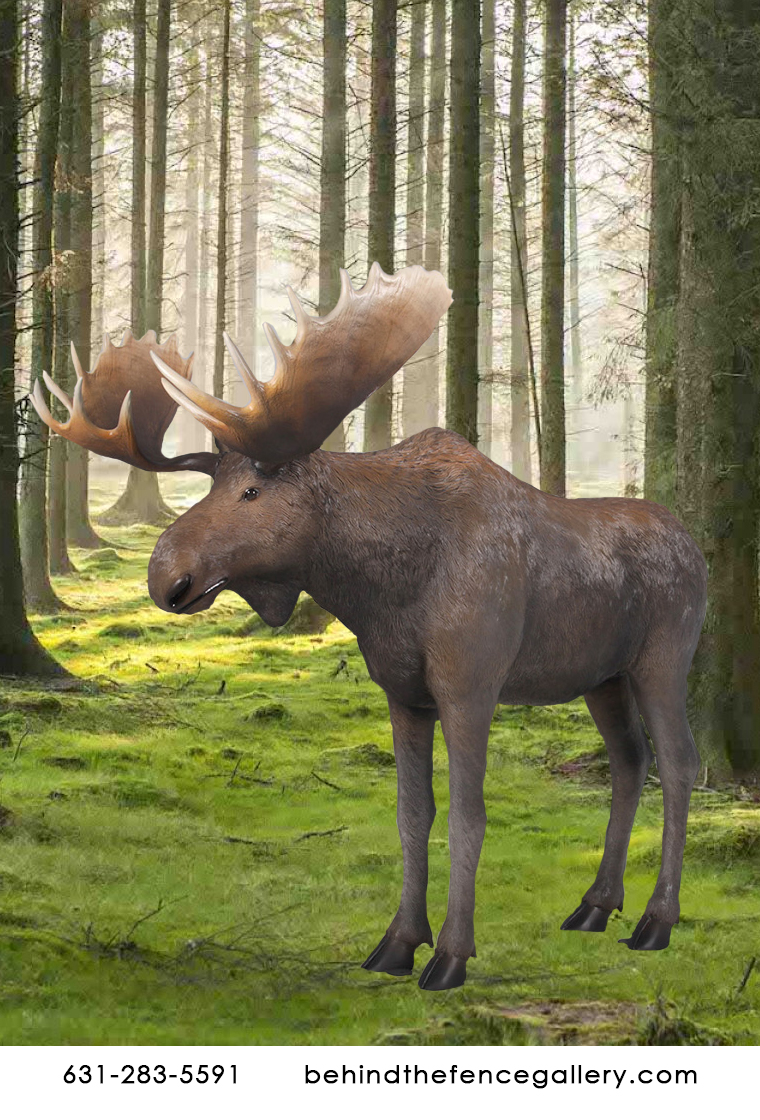 Life Size Moose Statue