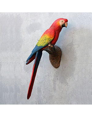 Parrot on Tree Branch