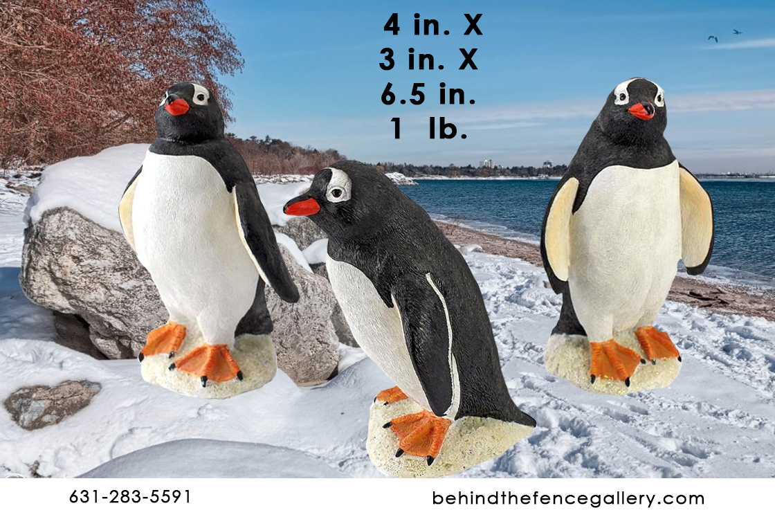 Gentoo Penguin