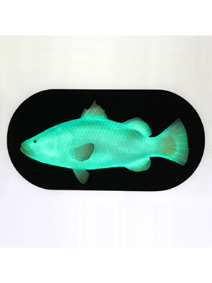 Hanging Fish with LED