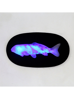 Hanging Koi with LED