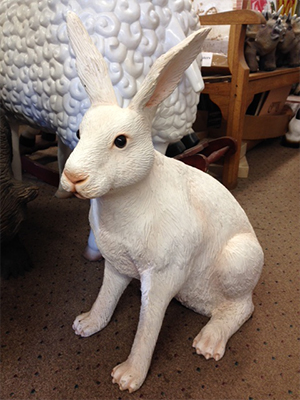 (image for) Hare