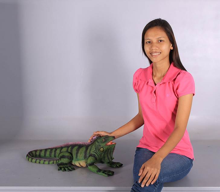 Iguana 24''