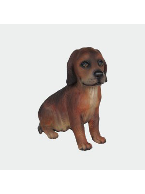Irish Setter Dog Puppy
