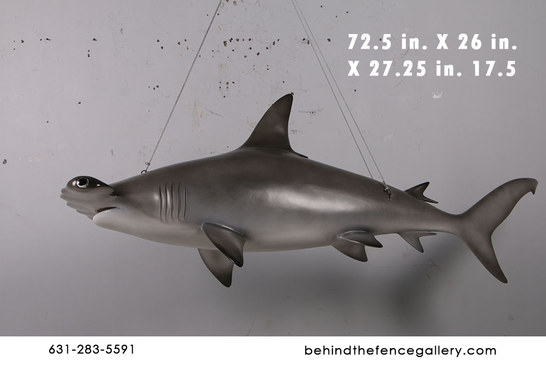 Shark 8 ft. - Click Image to Close