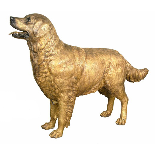 Bronze Golden Retriever