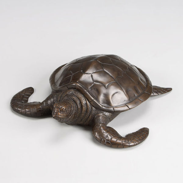 Bronze Sea Turtle