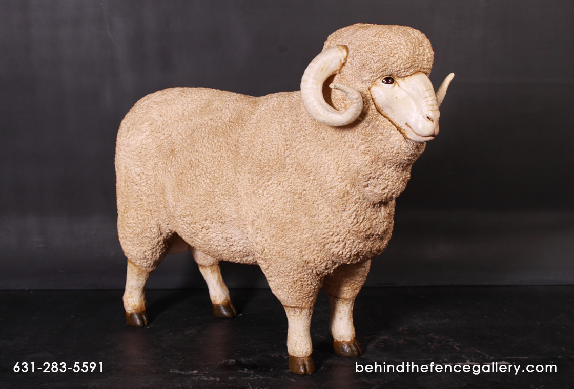 Ram Statue Life Size Merino Farm Animal Prop