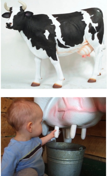 The Milking Dairy Cow (with or without Horns) - Click Image to Close