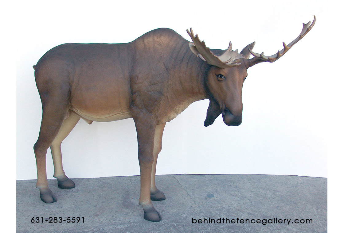 (image for) Life Size Moose Statue