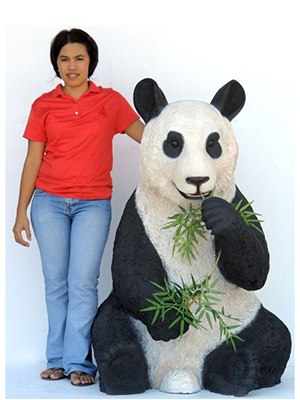 Panda Bear Sitting