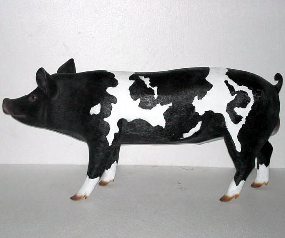 Black and White Pig - Click Image to Close
