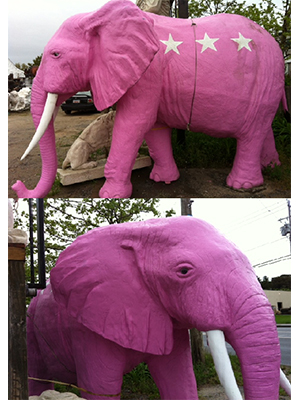 Elephant Pink