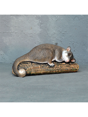 Sleeping Possum