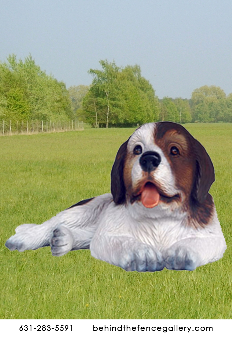 Saint Bernard Dog Puppy 2