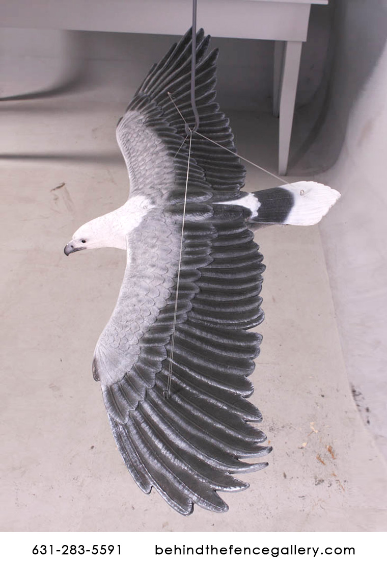 White Breasted Sea-Eagle Statue - Click Image to Close