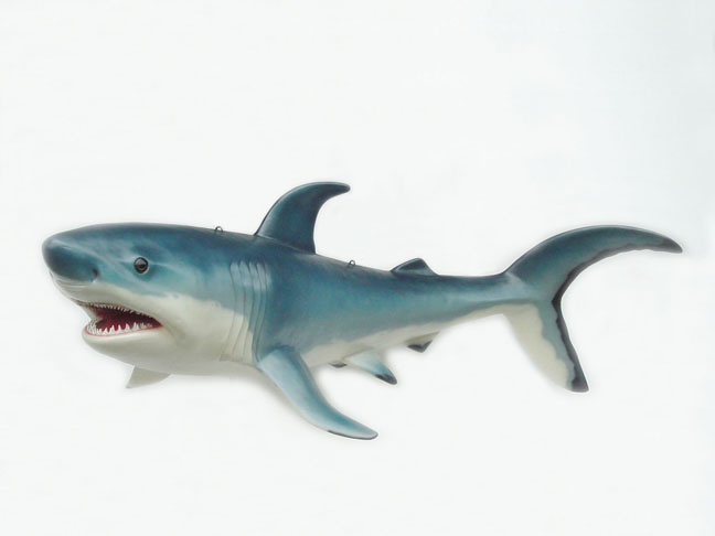 Shark 8 ft.