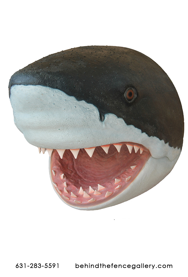 Shark Head Wall Mount