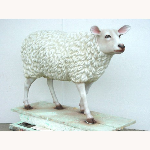 Realistic Sheep