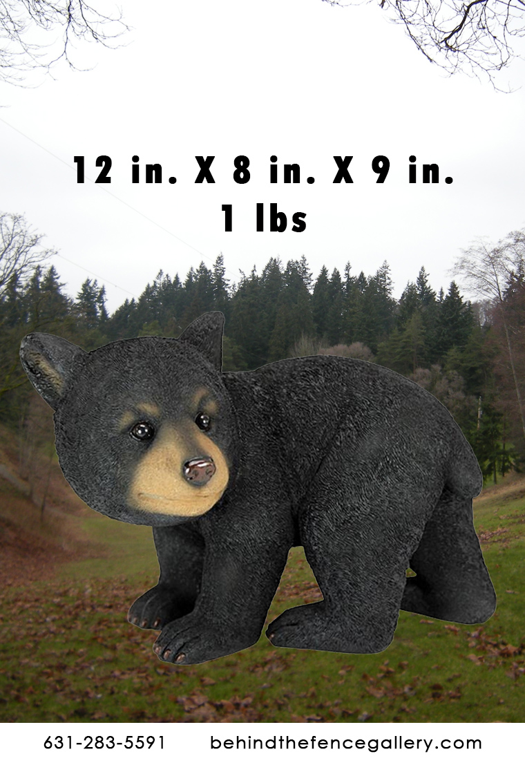 Shy Bear Cub - Click Image to Close