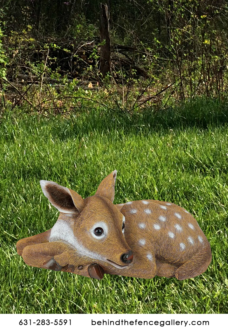 Shy Fawn