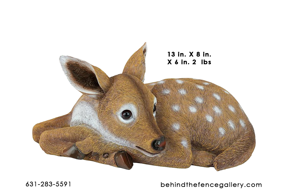 (image for) Shy Fawn