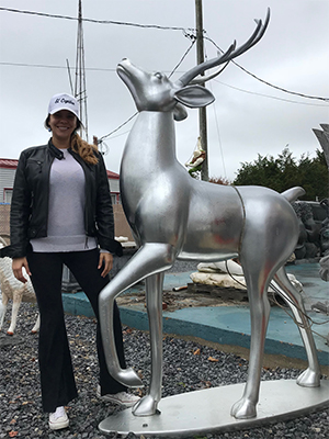 Silver Deer