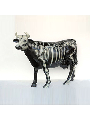 Skeleton Cow (with or without Horns)