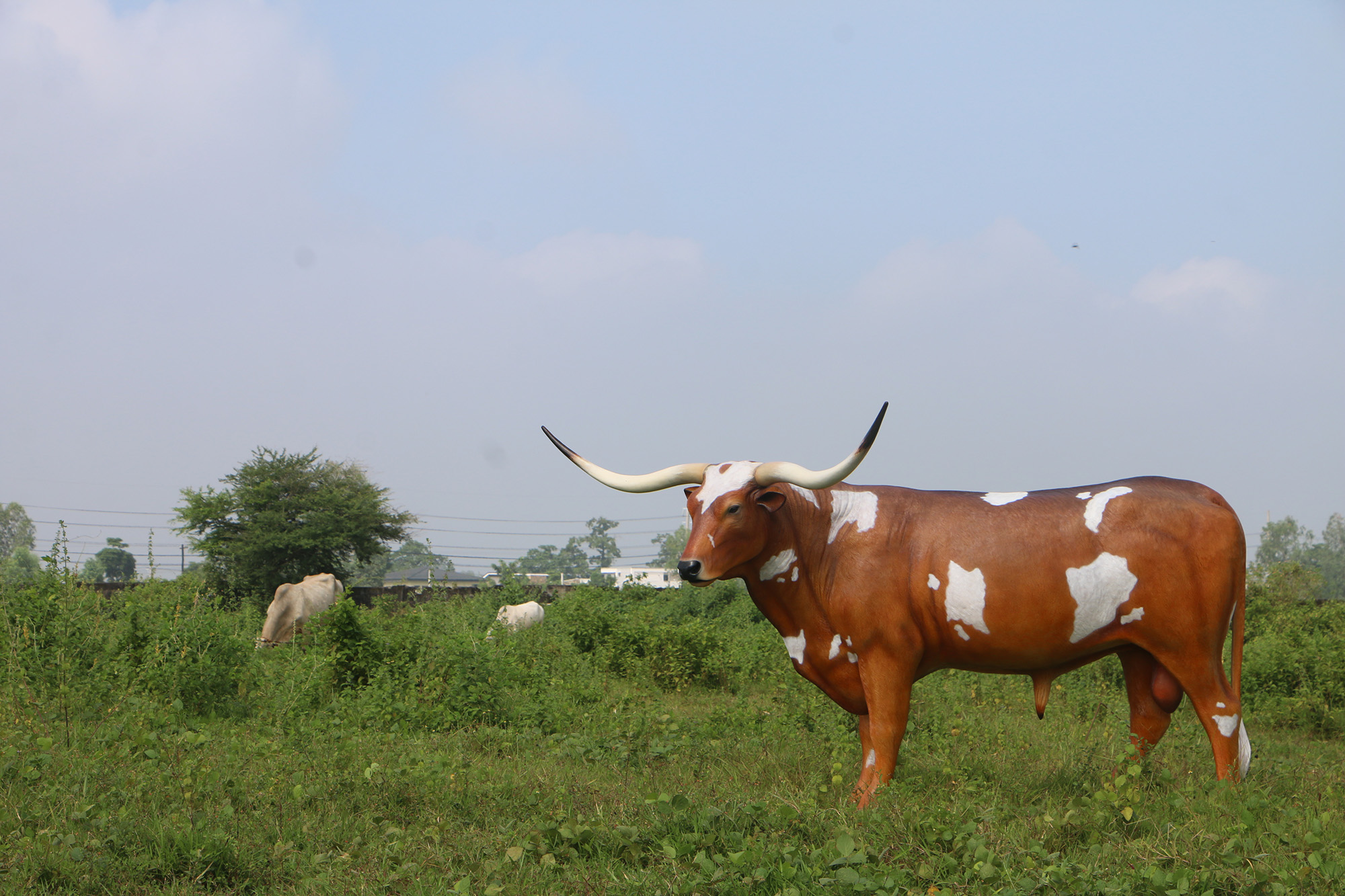 Texas Longhorn Steer Statue