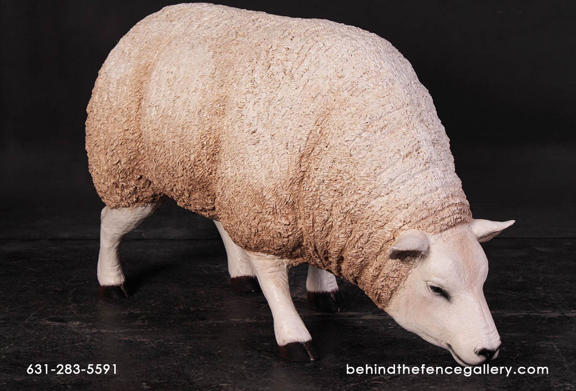 Texelaar Ewe Sheep - Head Down Statue