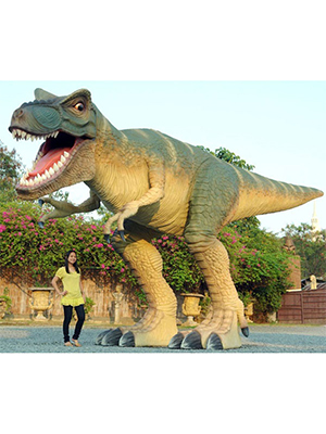 T-Rex 13 Ft.