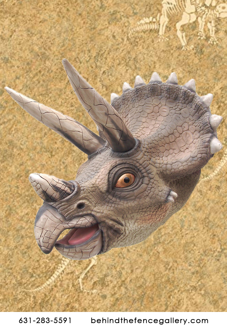 Triceratops Head Wall Mount