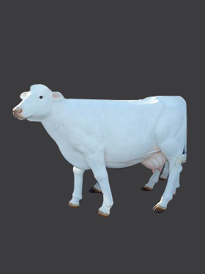 Cow - All White, Head Up (with or without Horns)